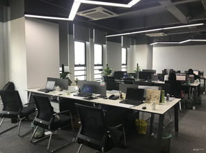 看准网 潜力无限的科技型软件开发公司