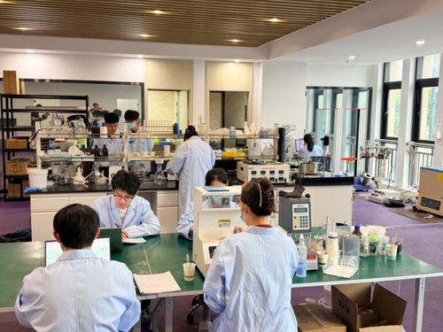 废弃秸秆变身高端基材 苍南企业实现电子专用材料研发新突破
