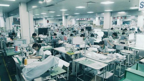 华懋科技袁晋清 做安全气囊领域的排头兵，新材料领域的探路者