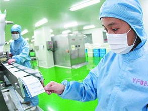 优化创新创业环境，加速新材料技术研发与高端资源集聚